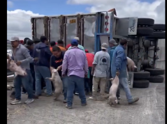 Y Se Armó la Carnita